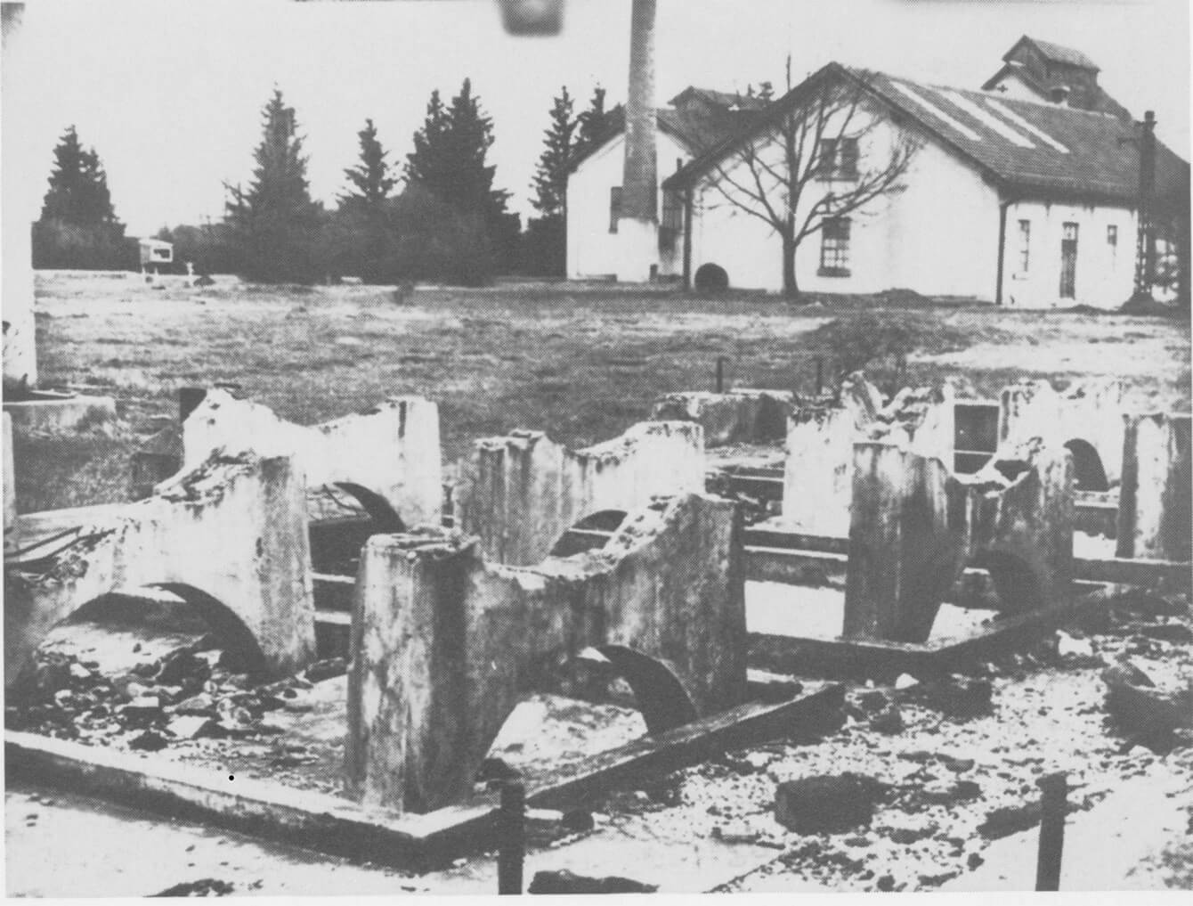 Die Entwicklung des Geländes nach dem ersten Weltkrieg