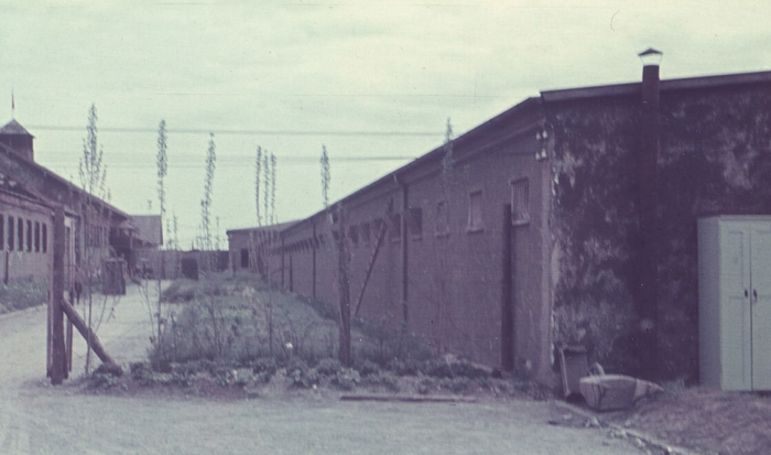 Blickt man von Westen auf den “Bunkerhof”, lassen sich hinter dem Drahtzaun diverse Beete und ein begrünter Streifen, die an das Bunkergebäude anschließen, erkennen. Auf halber Länge des “Bunkerhofes” war 1945 eine Mauer errichtet, die ebenfalls in der Ferne sichtbar ist.