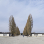 Wenn man vom Appellplatz auf die Lagerstraße blickt, kann man rechts und links von der Pappelallee jeweils eine nachgebaute Baracke sehen, die 1965 gebaut wurden. Parallel dahinter angeordnet befinden sich 32 gegossene Betongrundrisse, durch die man die Anordnung der Baracken nachvollziehen kann.