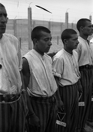 Quatre détenus en pantalon rayé se tenant immobiles, photographie de propagande SS (Crédits photographiques : Archives fédérales allemandes)