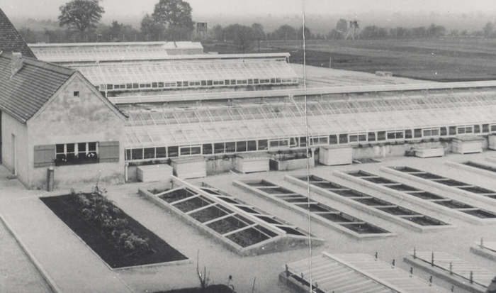 Adjoining a small building, located on the left of the photo, is a long greenhouse. Positioned parallel behind it are two further greenhouses identical in size and form. In the foreground area are a number of small garden beds.