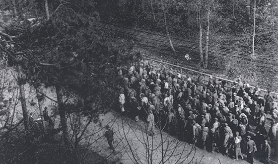 Exhausted prisoners in a large column march along a street (Municipal archives Landsberg am Lech)