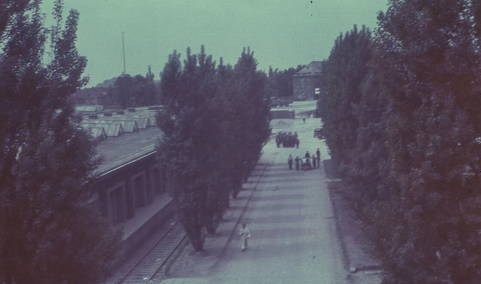 On the left side of the avenue-like connecting road is the still preserved section of rail track. In the concentration camp this rail line was used to deliver goods and materials to the SS enterprises, where the prisoners were forced to perform hard labor. In 1945 – the year the photograph was taken – a long workshop building, which no longer exists today, is located behind the track.