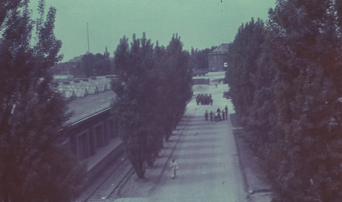 Sur le côté gauche du passage, semblable à une allée, se trouve le tronçon de rails conservé jusqu’à aujourd’hui. Du temps du camp de concentration, cette voie ferrée fut utilisée pour acheminer des marchandises aux usines SS, dans lesquelles les détenus devaient effectuer du travail forcé. On distingue sur cette photo de 1945 un atelier tout en longueur derrière la voie ferrée, qui n’existe plus aujourd’hui.