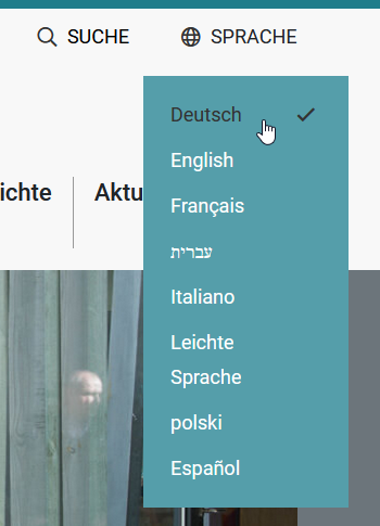Screenshot Kopfzeile. Aufgeklappte Sprachauswahl.