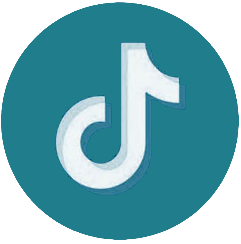 TikTok Icon